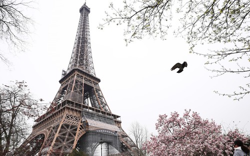 Thành phố Paris vinh danh các nhà khoa học nữ tại Tháp Eiffel