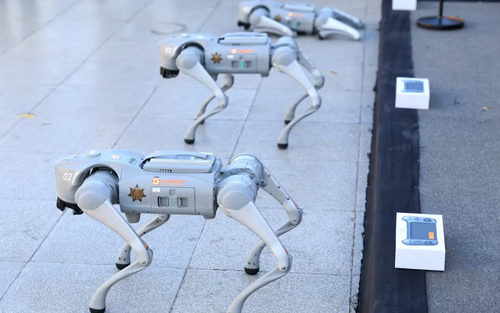 World Cup 2026: Triển khai “chó robot” hỗ trợ an ninh