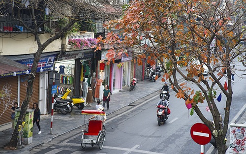 Dự báo thời tiết ngày 11/2: Nền nhiệt tăng, thời tiết ấm dần ở Bắc Bộ, Bắc Trung Bộ