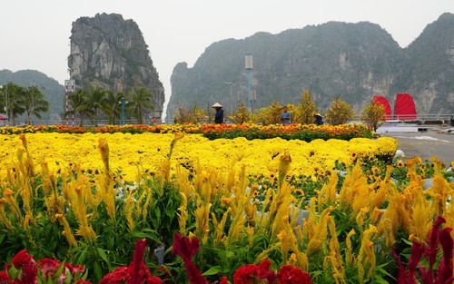 Quảng Ninh lần đầu tổ chức Đại lộ hoa và công nghệ ánh sáng bên vịnh kỳ quan Hạ Long
