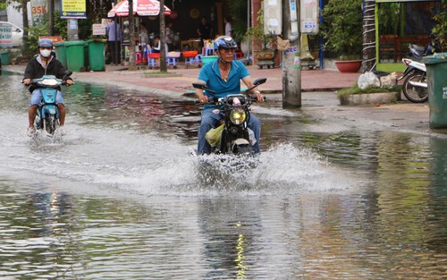 Xuất hiện triều cường trong dịp Tết ở khu vực ven biển Đông Nam Bộ