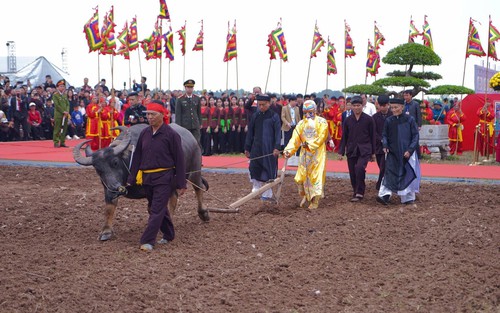 Khai mạc Lễ hội Tịch điền Đọi Sơn Xuân Bính Ngọ 2026