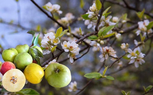 Ngẫm ngợi cuối tuần: Thơ ca bám trụ ở đường biên