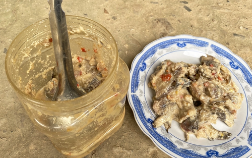 Ba trẻ nhập viện nghi ngộ độc Botulinum sau khi ăn cá ủ chua