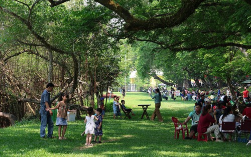 Đà Nẵng: Người dân “trốn” nắng cực gắt dưới bóng cây xanh