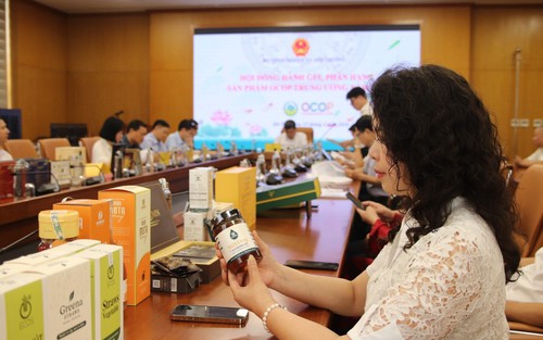 Cô giáo dạy hóa chuyển nghề nuôi ong, mang Mật ong Việt Nam ra thế giới