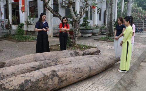 Xác định niên đại của ba cọc gỗ cổ phát hiện tại Ninh Bình
