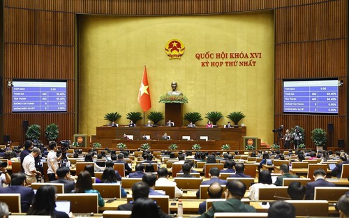 Quốc hội biểu quyết thông qua các nghị quyết và luật