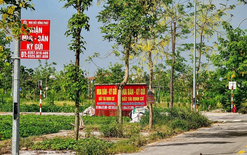 Hà Nội sẽ kiểm tra hoạt động môi giới tại khu tái định cư cầu vượt sông Hồng