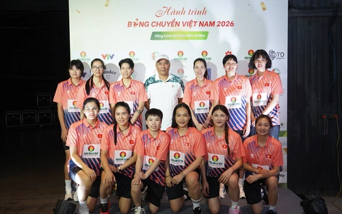 Kinh tế thể thao: 'Cú hích' từ cuộc chiến chống vi phạm bản quyền 