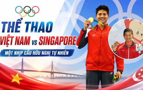 Thể thao Việt Nam vs Singapore: Một nhịp cầu hữu nghị tự nhiên