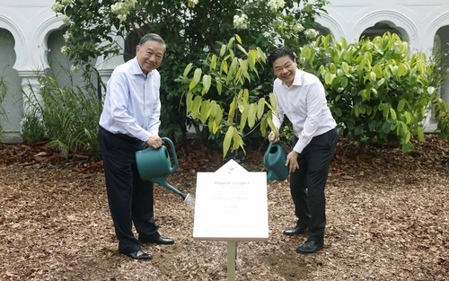 Tổng Bí thư, Chủ tịch nước Tô Lâm và Thủ tướng Singapore trồng cây tại Vườn Bách thảo Singapore