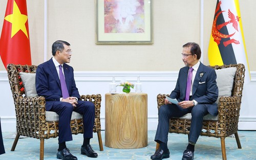 Thủ tướng Lê Minh Hưng gặp Quốc vương Brunei