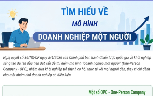 Tìm hiểu về mô hình "Doanh nghiệp một người"