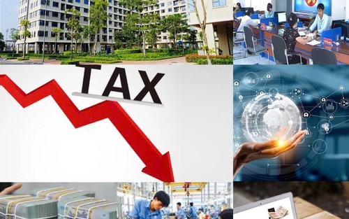 Cắt giảm hơn 3.400 thủ tục hành chính, điều kiện kinh doanh