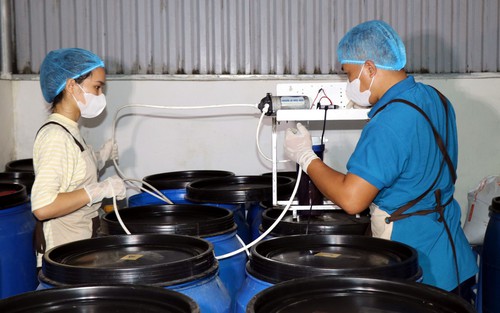 Để doanh nghiệp khởi nghiệp sáng tạo có khả năng cạnh tranh quốc tế