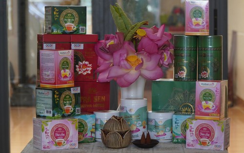 Ẩm thực cao cấp từ sen thu hút đông đảo du khách thưởng thức