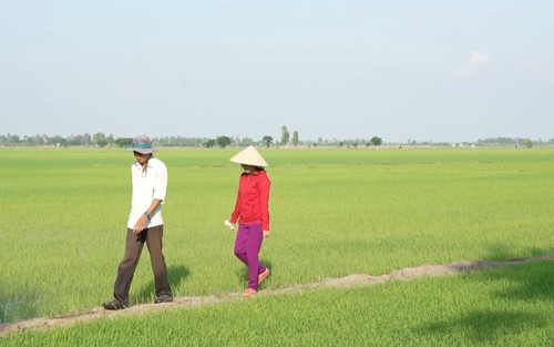 Người thầy gieo chữ và hành trình giữ màu xanh cho đồng ruộng