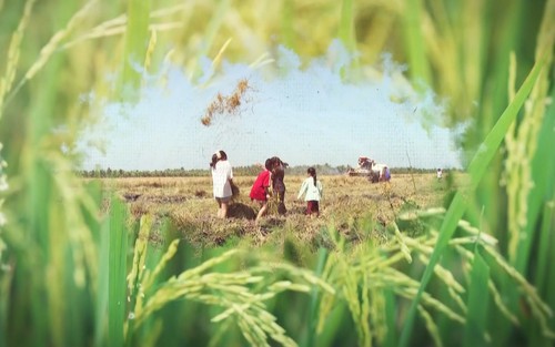 Người nông dân trả món nợ với đất