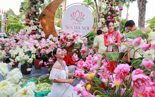 Khi hoa sen kể câu chuyện về Hà Nội