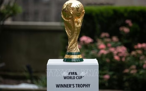 Lịch trực tiếp bóng đá World Cup 2026 vòng 32 đội trên các kênh sóng của VTV