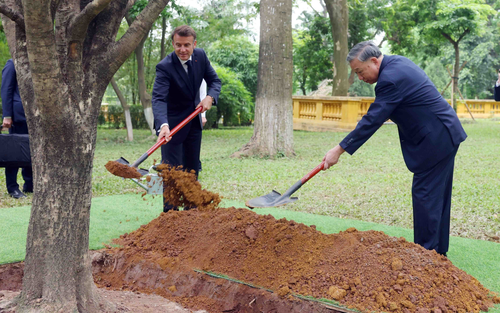 Bài viết của Tổng Bí thư, Chủ tịch nước Tô Lâm: Vì một nền văn minh sinh thái, một Việt Nam xanh và một đại dương hoà bình, bền vững
