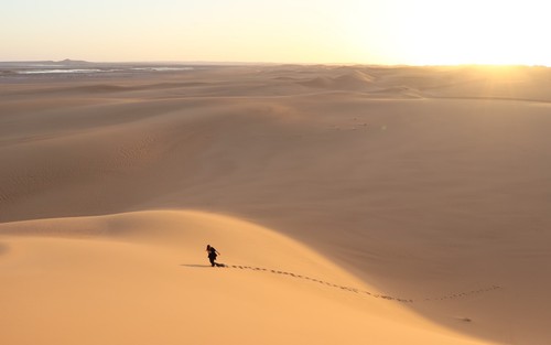 Gần 50 người chết giữa sa mạc Sahara