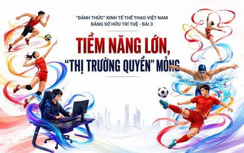 "Đánh thức" kinh tế thể thao bằng sở hữu trí tuệ - Bài 3: Tiềm năng lớn, "thị trường quyền" mỏng