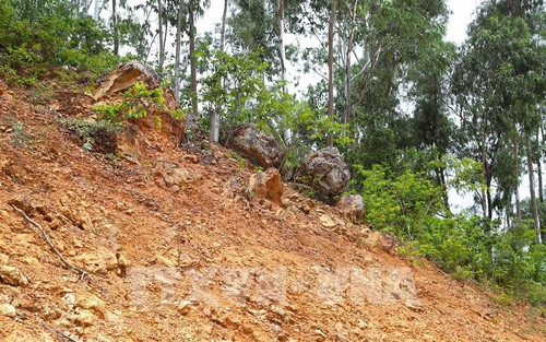 Tuyên Quang sẵn sàng ứng phó mưa lũ, sạt lở đất