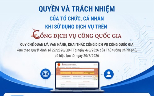 Quyền và trách nhiệm của tổ chức, cá nhân khi sử dụng dịch vụ trên Cổng Dịch vụ công quốc gia
