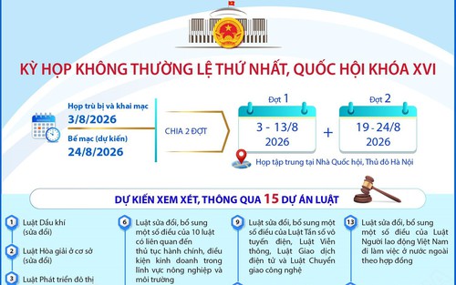 Nội dung Kỳ họp không thường lệ thứ Nhất, Quốc hội khóa XVI