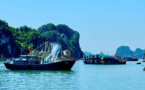 Từ Quảng Ninh đến Đắk Lắk chủ động ứng phó với áp thấp nhiệt đới trên Biển Đông