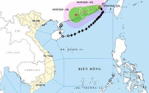 Tin cuối cùng về bão số 5