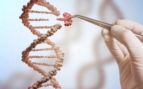 Đột phá y học loại bỏ thành công virus HIV chữa khỏi căn bệnh thế kỷ