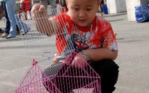 Rằm tháng 7, phóng sinh thế nào để phóng sinh không thành phóng tử?