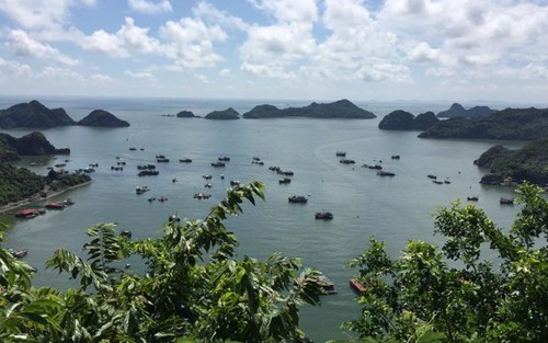 Trở lại Cát Bà sau ngày thông xe cầu Tân Vũ