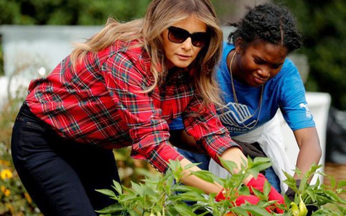 HÌNH ẢNH: Đệ nhất phu nhân Mỹ Melania Trump xắn tay làm vườn