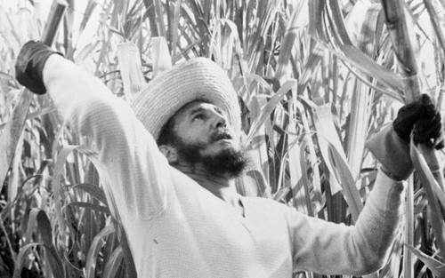 Fidel Castro - Nghề nghiệp ngôn từ: 'Học cách làm việc cũng quan trọng như học cách nghỉ ngơi'