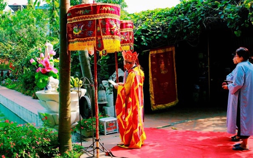 Bảo Sinh - 'pháp sư' siêu sinh cho chó, xây 'khách sạn 5 sao' cho chó mèo