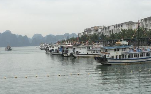 Chủ tịch Hà Nội yêu cầu kiểm tra thông tin 'Thăm vịnh Hạ Long qua hướng Cát Bà: Trò lừa bịp'