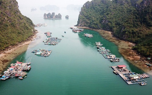 Phó Chủ tịch UBND thành phố Hạ Long: Không có việc 'ngăn sông cấm chợ' trên vịnh Hạ Long