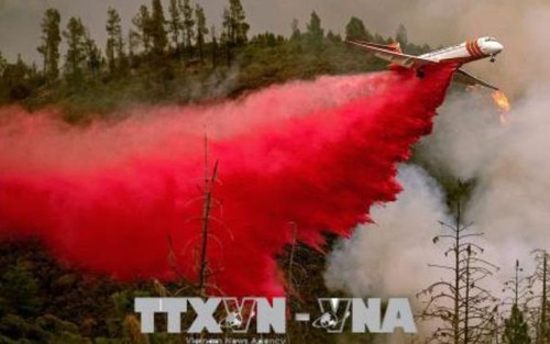 'Bão lửa' ở rừng California, hàng chục nghìn người trốn chạy