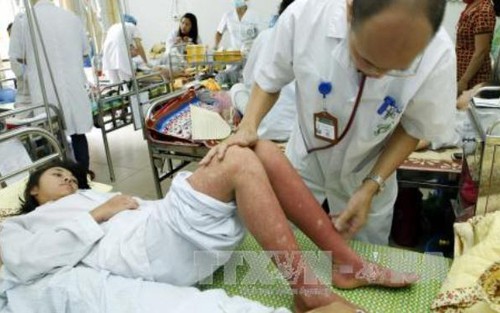 Không để bùng phát dịch sốt xuất huyết