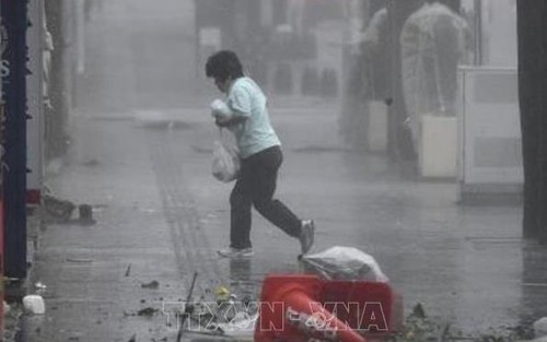 Bão Trami gây thiệt hại lớn ở thủ đô Tokyo