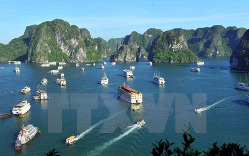 Đình chỉ hoạt động 2 tàu du lịch do vi phạm quy định về quản lý hoạt động tàu du lịch trên vịnh Hạ Long