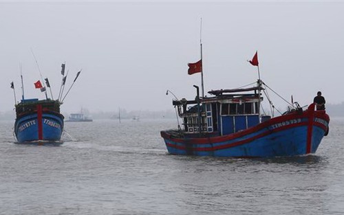 Bốn thuyền viên mê man, nguy kịch khi chui xuống hầm cá
