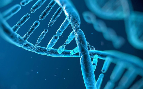 Thúc đẩy ứng dụng trí tuệ nhân tạo trong giải mã gene