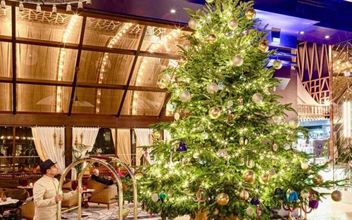 Cây thông Noel đắt nhất thế giới hơn 300 tỷ đồng có gì đặc biệt?
