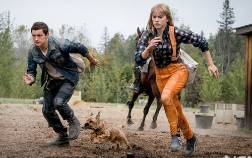 Phim 'Chaos Walking': Đưa khán giả đến một hành tinh độc đáo