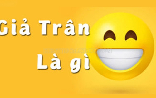 Chữ và nghĩa: Giả trân: Vừa 'giả' vừa 'trơ'